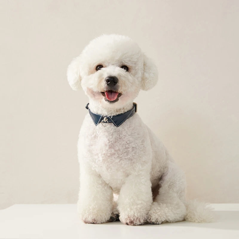 Chic Pet Prestige - Collare in Semilpelle - Amorequattrozampe - Amorequattrozampe