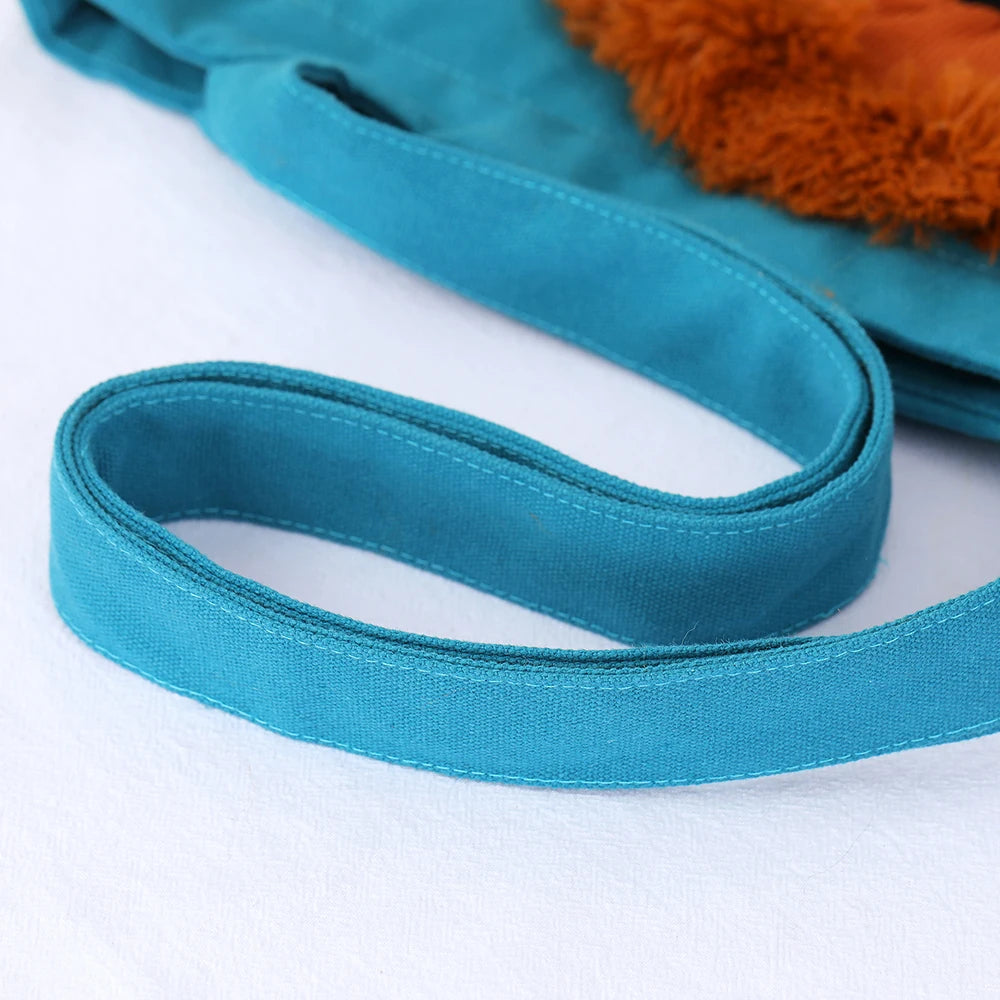 LeoPaws SafeJourney Carrier - Amorequattrozampe