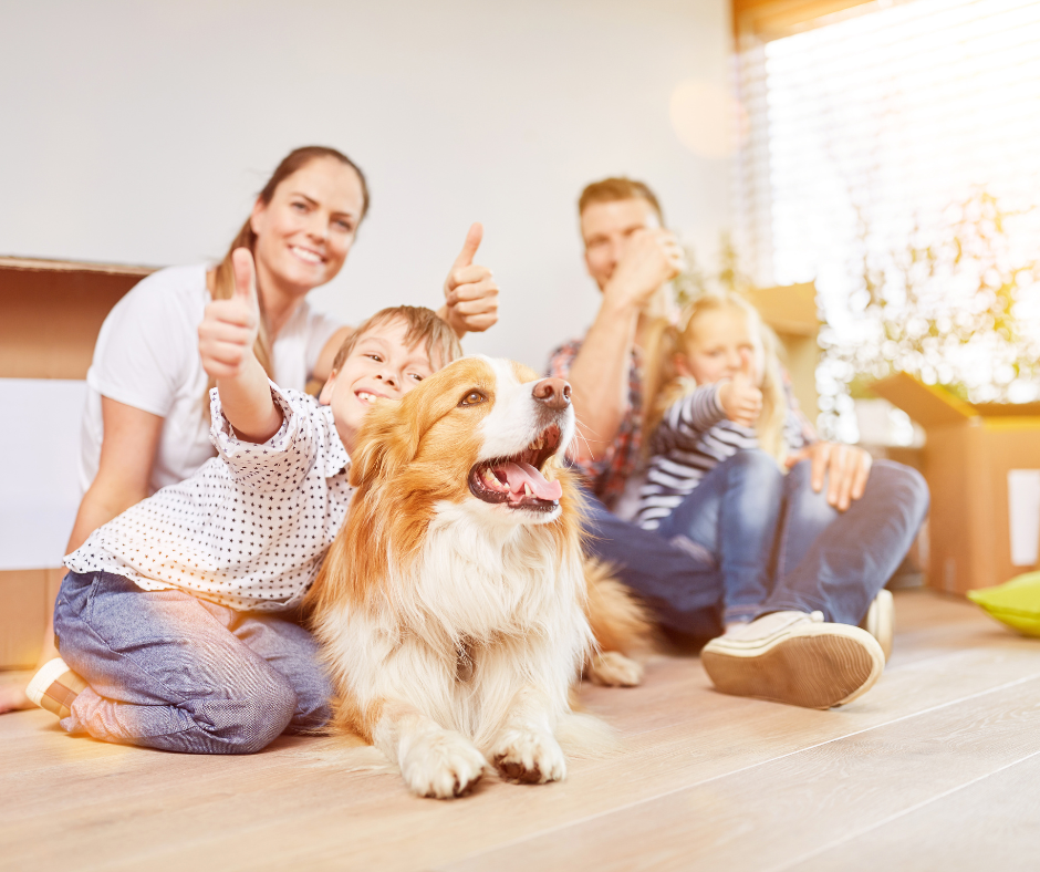 Il Miglior Cane per una Famiglia con Bambini: Guida Completa all'Acquisto