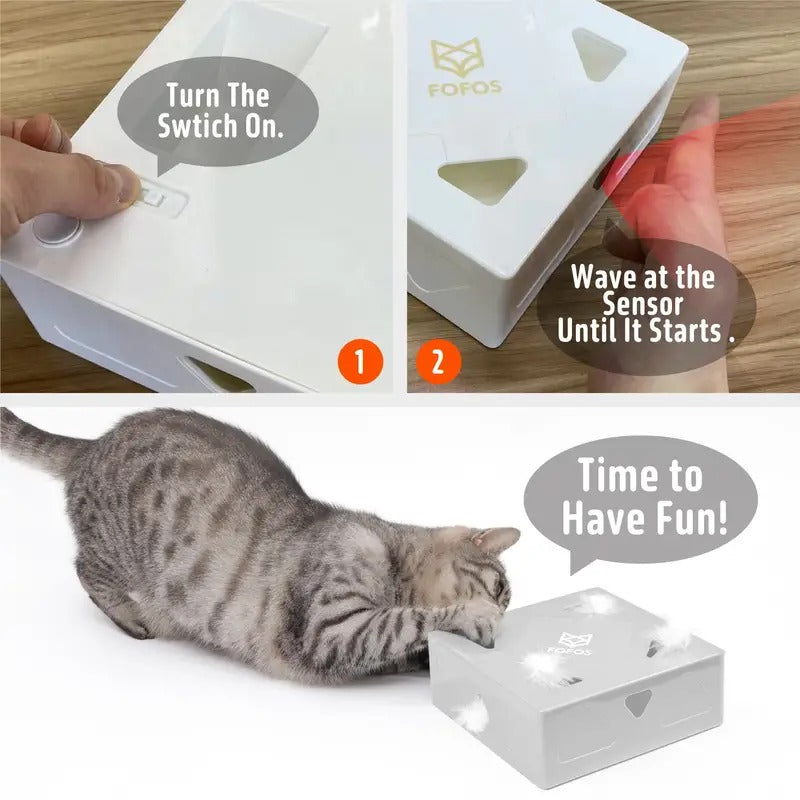 Funny Magic Box Cat - Amorequattrozampe - Amorequattrozampe