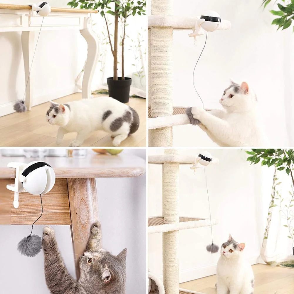 Feline Frolic Ball: giocattolo automatico per gatti - Amorequattrozampe - Amorequattrozampe