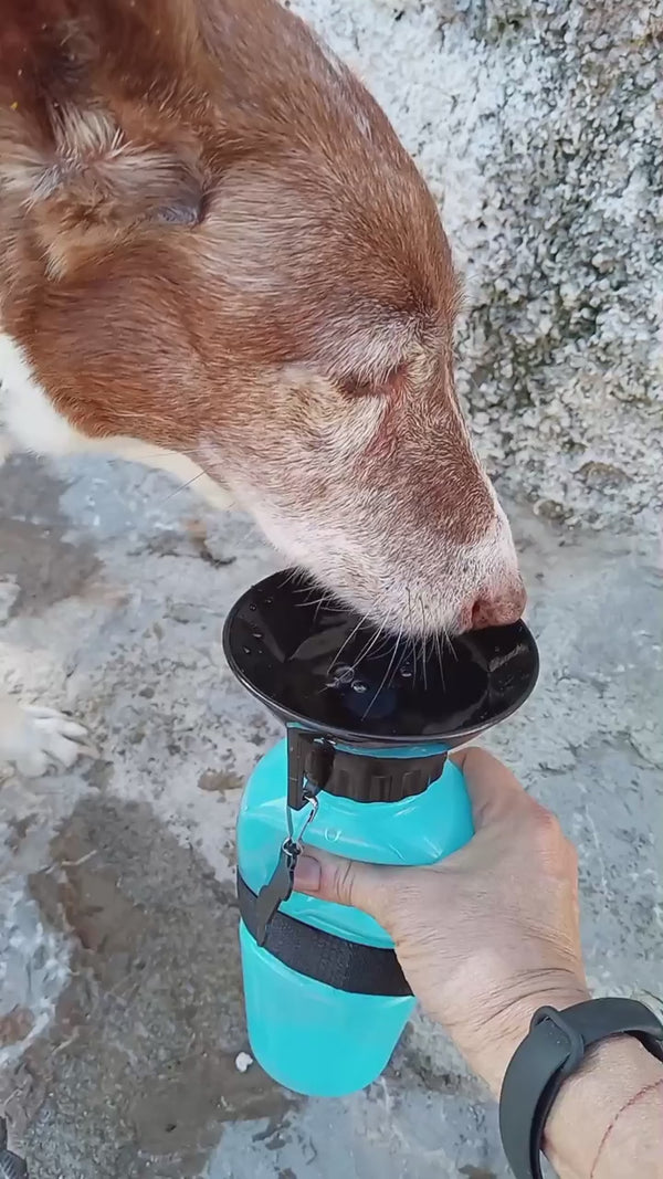 Borraccia da Passeggio per Cani Ergonomica - Idratazione Facile e Senza Sprechi - Amorequattrozampe